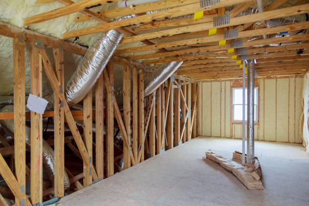 Best Insulation Inspection Services  in Princeton, MN