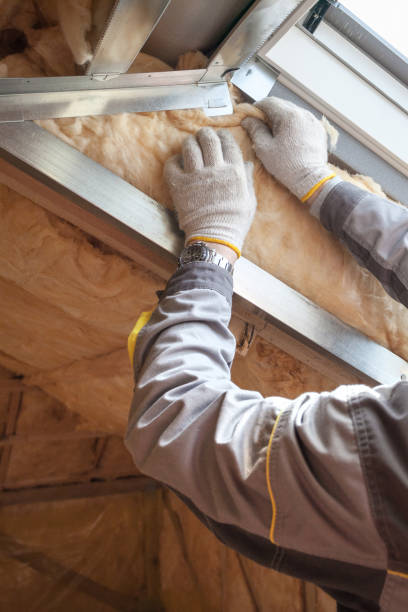 Best Cellulose Insulation  in Princeton, MN