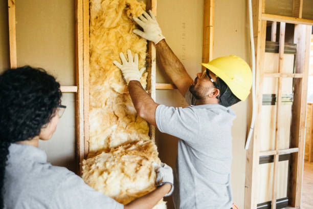 Best Insulation Contractor Near Me  in Princeton, MN