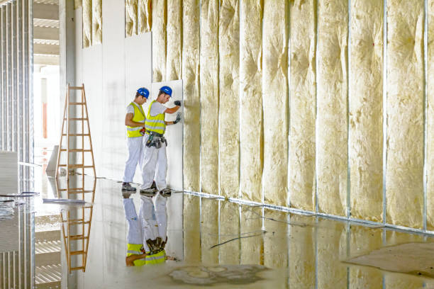 Best Insulation Replacement Services  in Princeton, MN